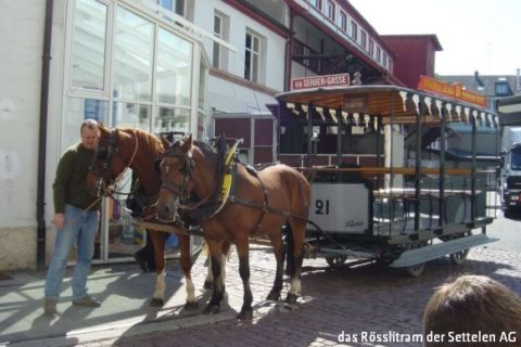 Dinosaurier und Rösslitram