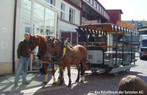 Dinosaurier und Rösslitram
