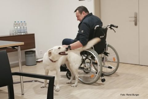 Wir zaubern ein Lächeln