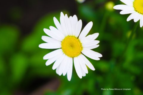 Danke – noch lebe ich